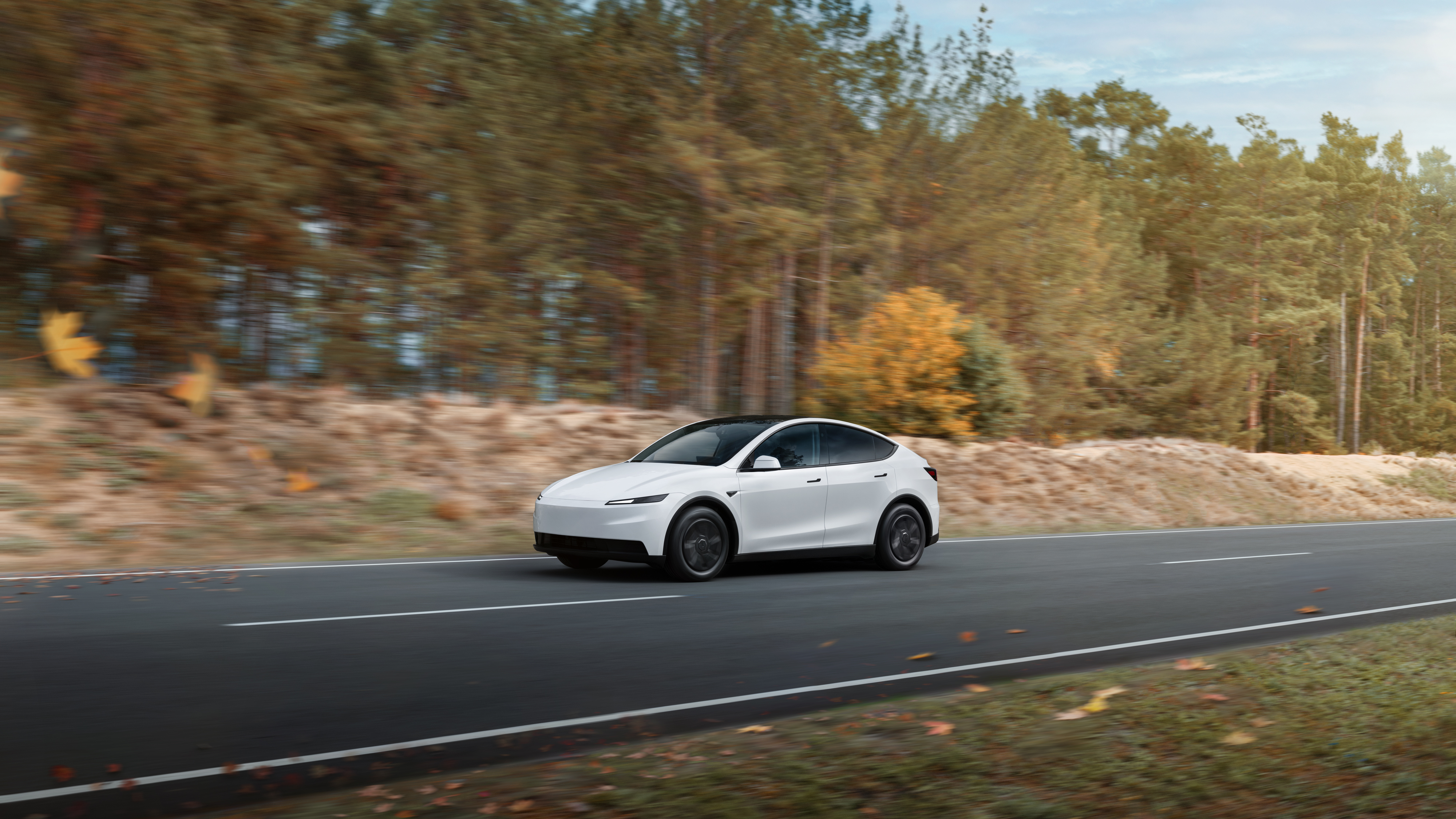 Model Y Performance