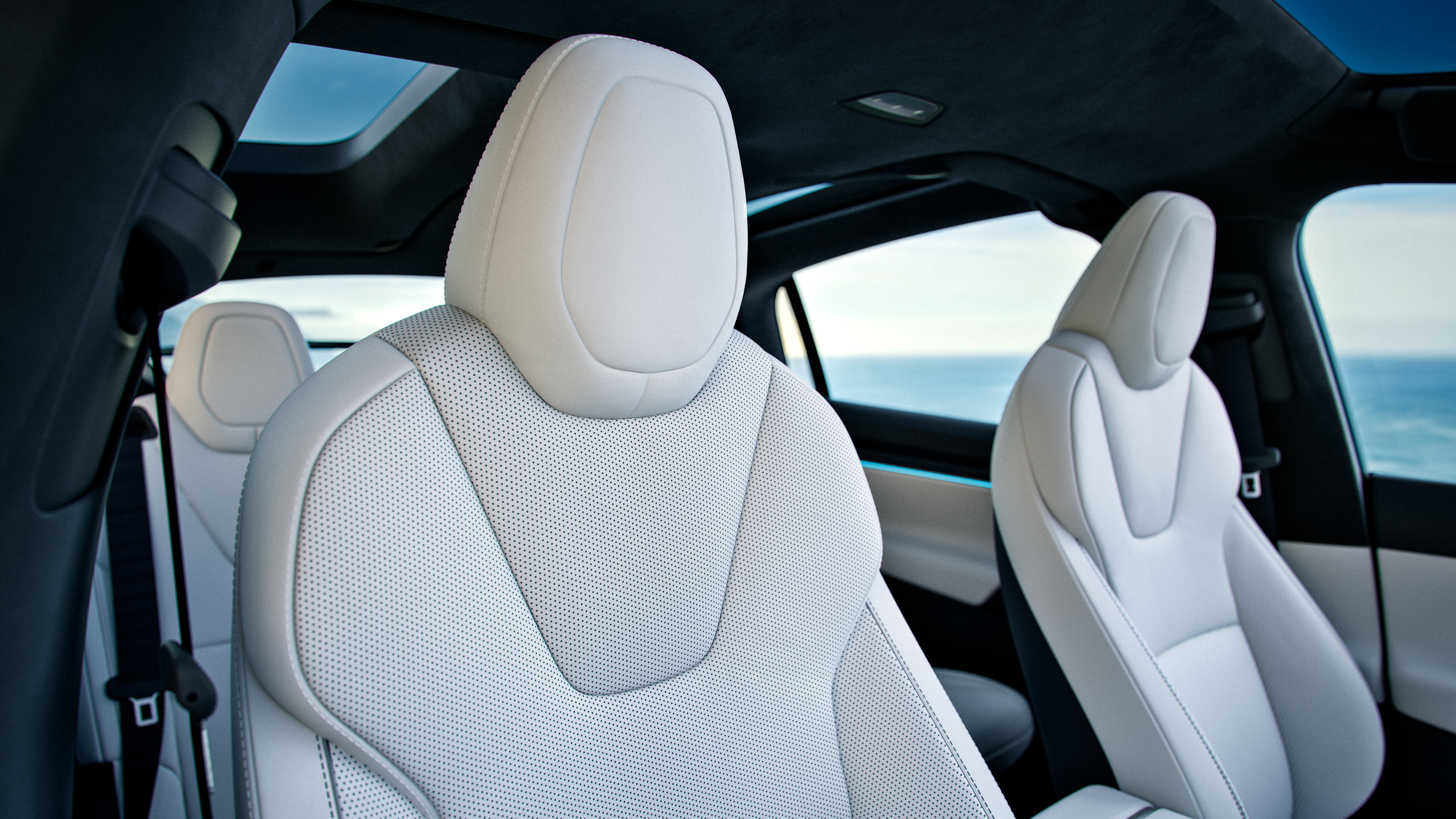 Model X photo 3