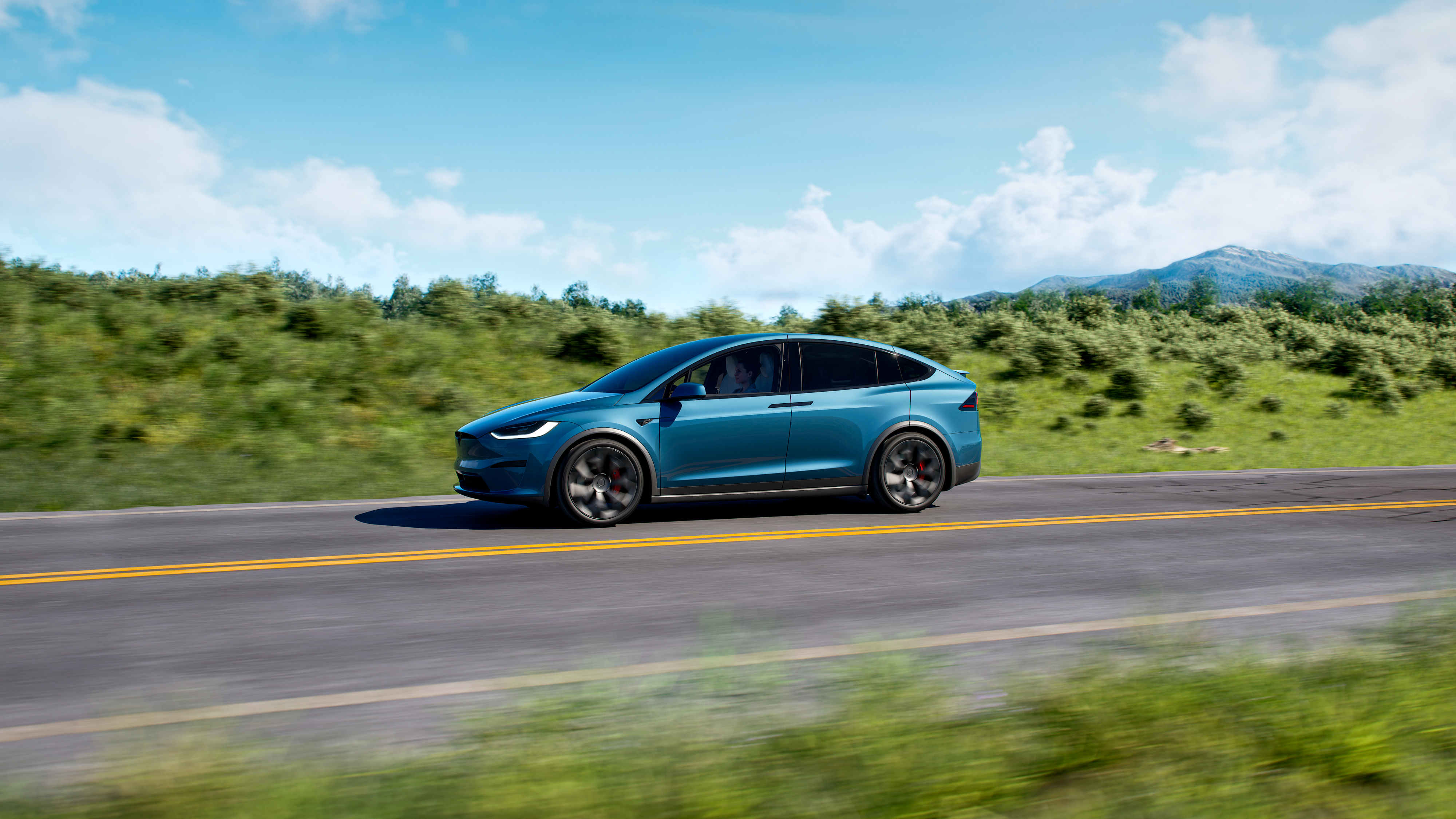 Model X photo 4