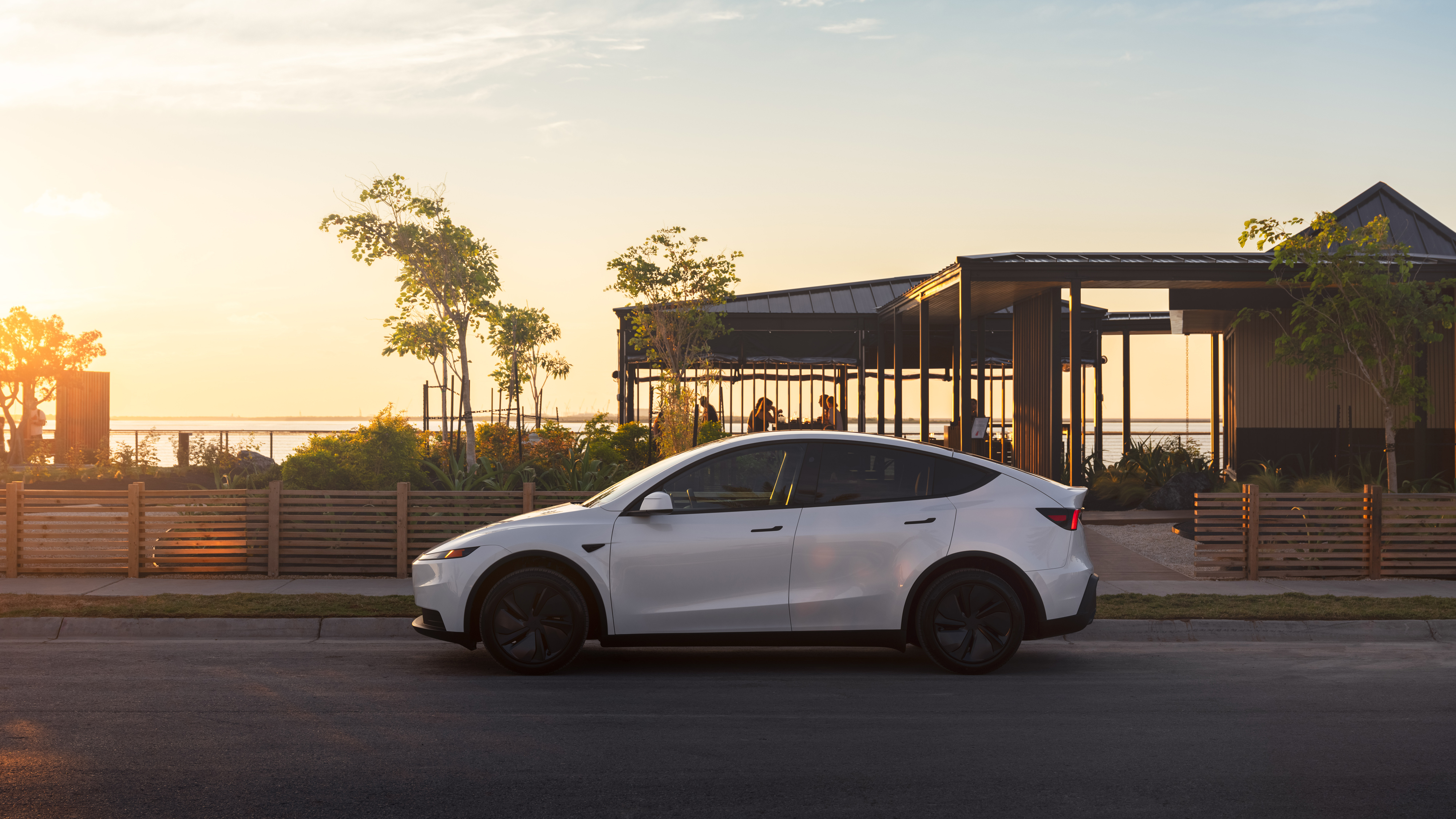 Model Y photo 1