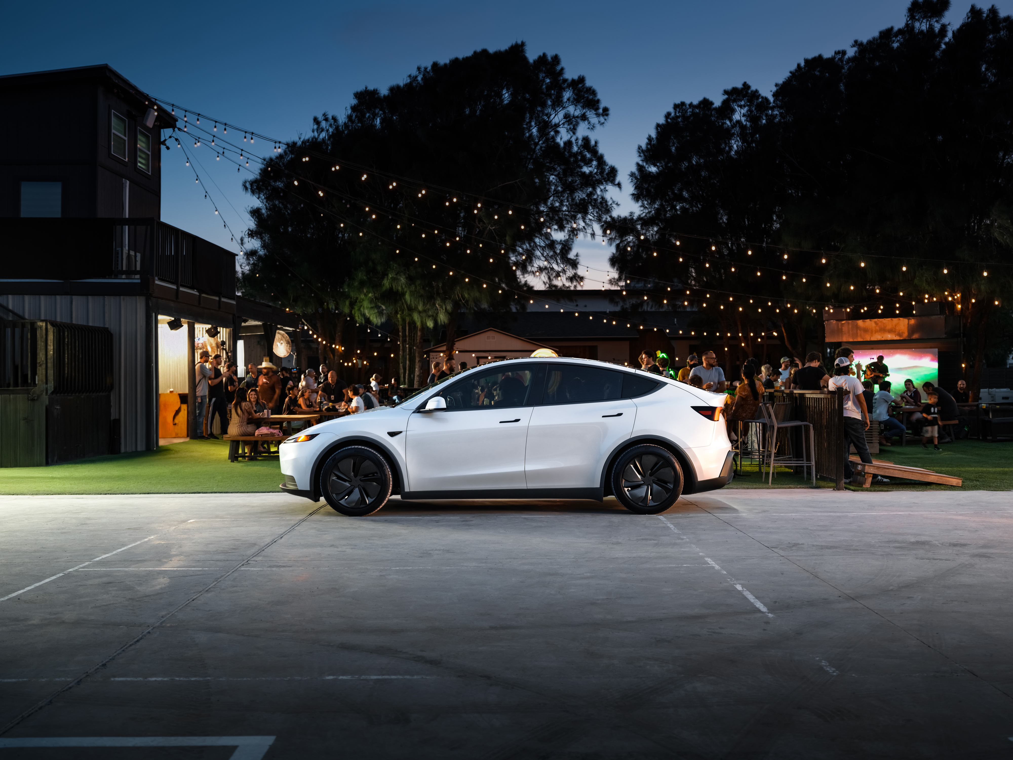 Model Y photo 4