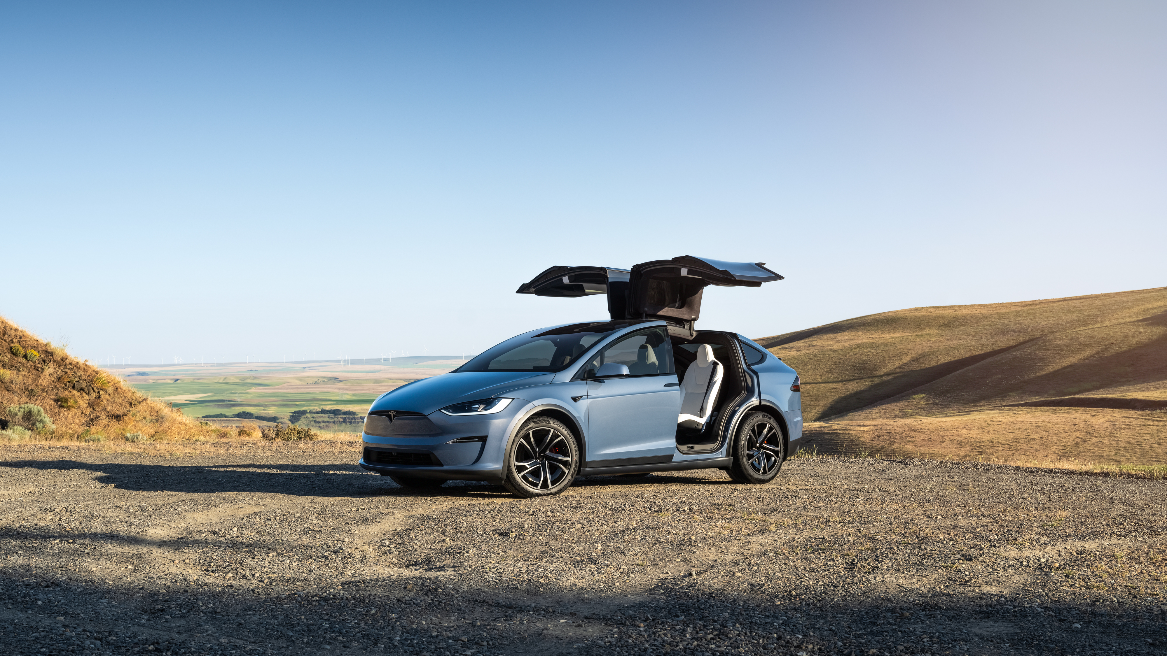 Model X